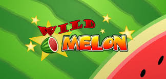 Wild Melon Social Slot Game - Premium Casino Entertainment